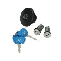 Contactslotset Oem | Piaggio New Fly