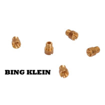 Sproeier Bing Klein 100